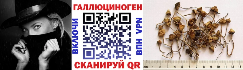 Псилоцибиновые грибы мухоморы  kraken зеркало  Томск 